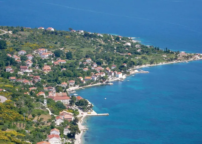 Stunning In * فيغاني